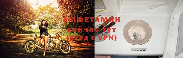 индика Кулебаки