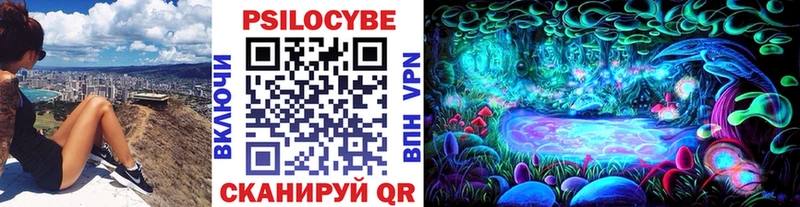 Купить закладки Голицыно Галлюциногенные грибы Cubensis