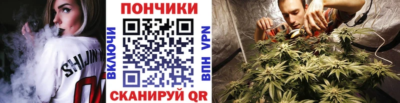 Шишки марихуана гибрид  Купить закладки  Голицыно 